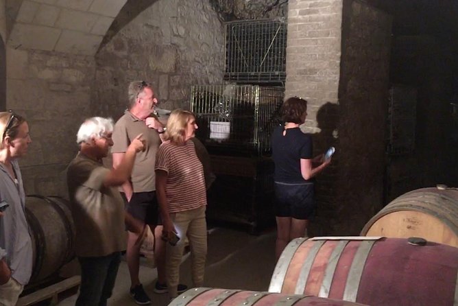 Vineyard cycle tours in and around Chinon, in the Loire Valley - Who will enjoy this Chinon outing