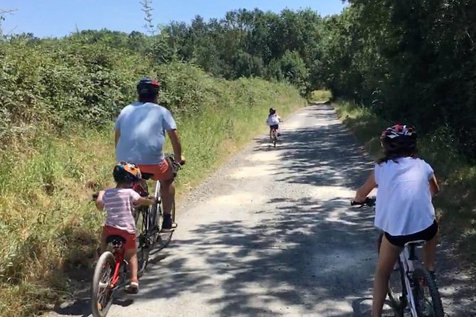 Vineyard cycle tours in and around Chinon, in the Loire Valley - Practical booking advice for a 10 a.m. start