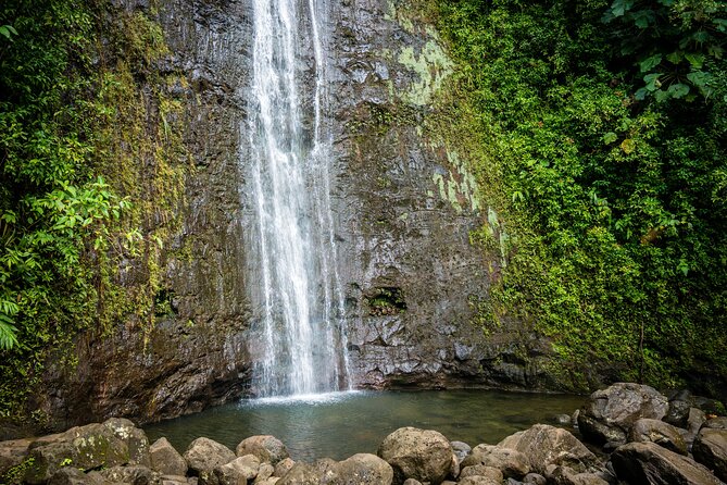 Waikiki Electric Bike Self Guided Tour- Manoa Falls Bike and Hike - The University of Hawaii at Manoa adds a local stop