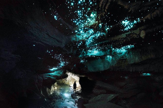 Waitomo E-bike ride including enchanting bush walk - Mountain views depend on the weather