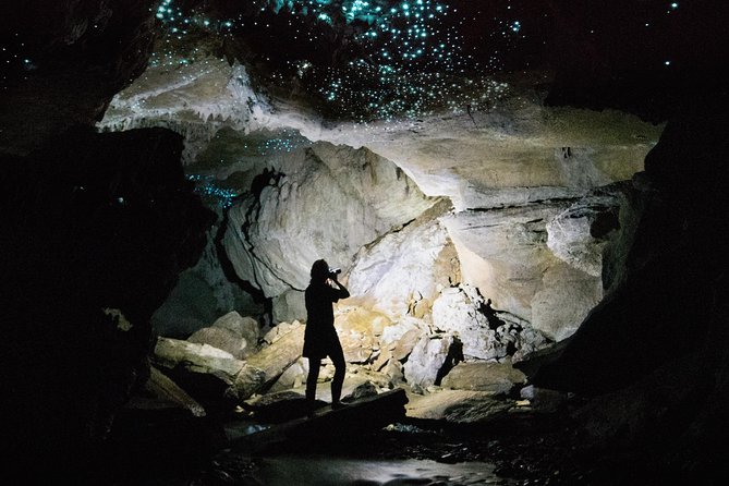 Waitomo E-bike ride including enchanting bush walk - Booking, timing, and cancellation details
