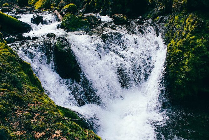 Waterfalls & Waterfront E-Bike Tour on Car-Free Bike Path - Who will enjoy this ride most?