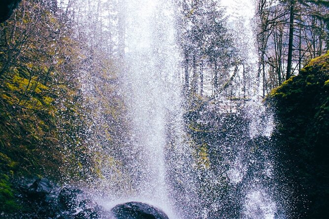 Waterfalls & Waterfront E-Bike Tour on Car-Free Bike Path - Wyeth Trailhead to the waterfalls, 4.3 miles