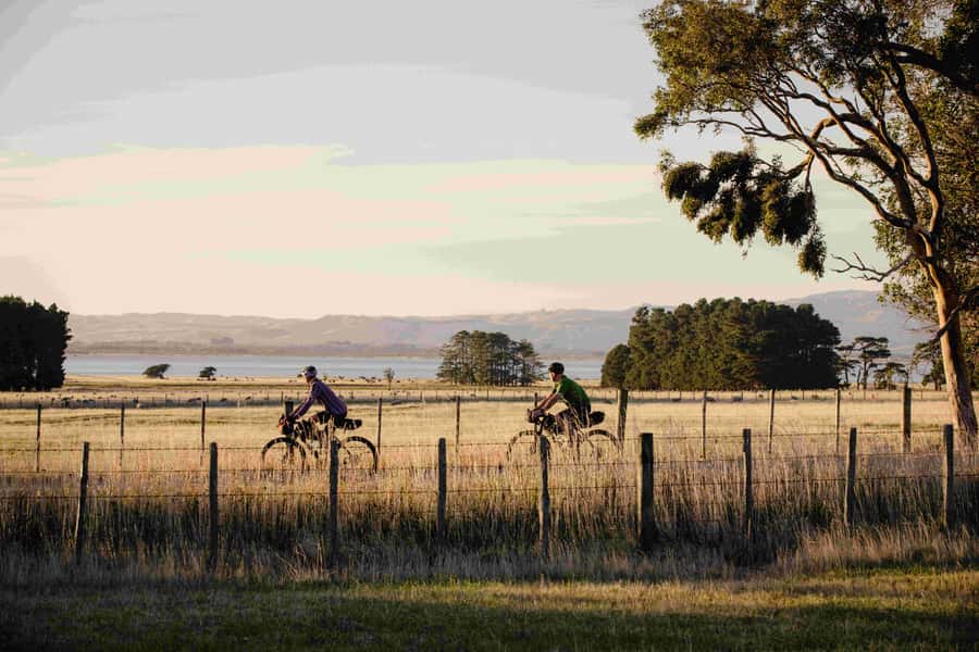 Wellington: Remutaka Rail Trail Cycle Tour - Key points to know before you pedal