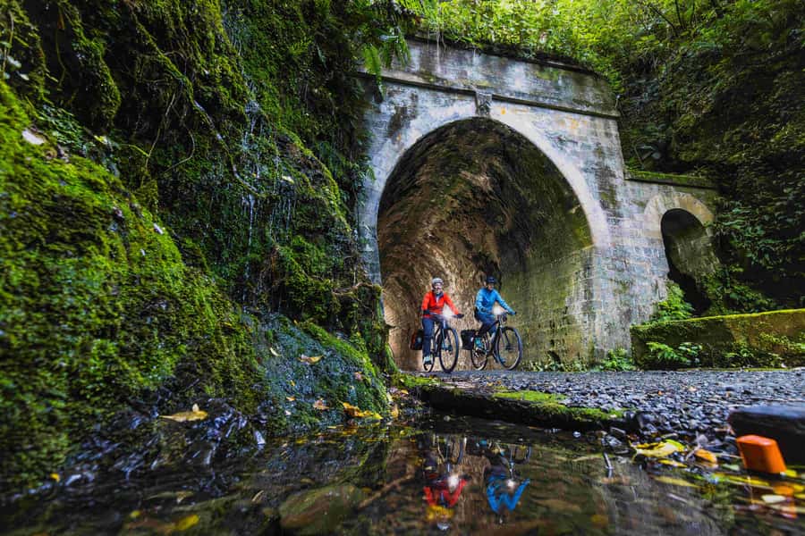 Wellington: Remutaka Rail Trail Cycle Tour - Why this rail trail makes a good Wellington day trip