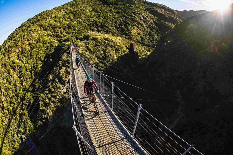 Wellington: Remutaka Rail Trail Cycle Tour - Headlights on for the railway tunnels