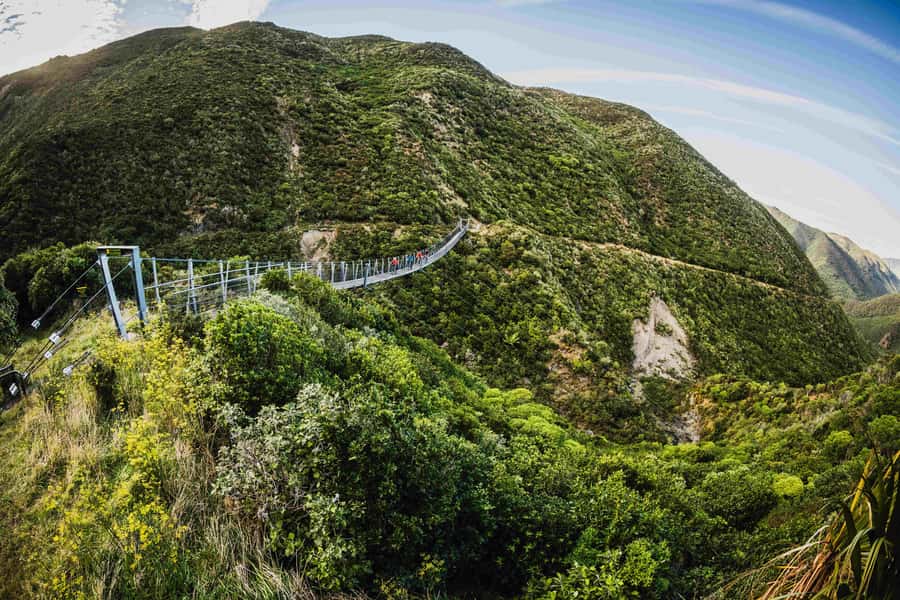 Wellington: Remutaka Rail Trail Cycle Tour - The descent is fun, but do not rush it