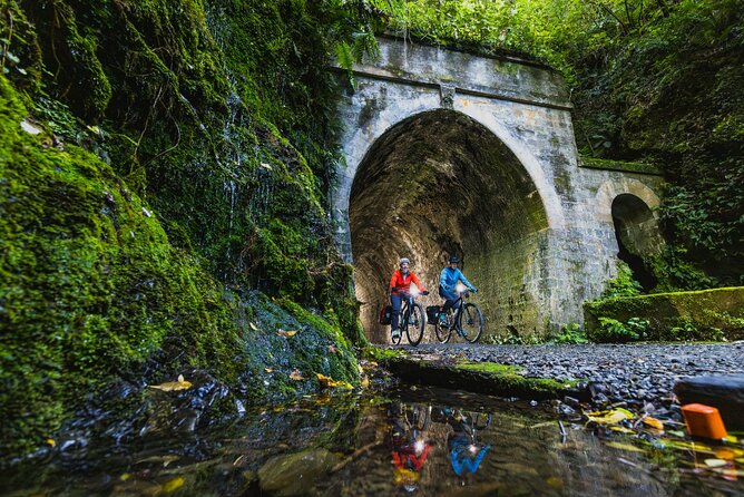 Wellington Remutaka Rail Trail eBike Cycle Tour - Why this trail makes a fine Wellington day trip