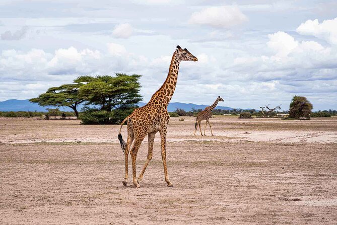 West Kilimanjaro cycling Adventures - How difficult is the cycling?