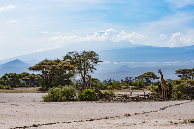 West Kilimanjaro cycling Adventures - What the $666.67 price includes