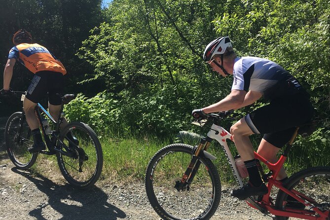 Whistler Full-Day Mountain Bike Tour - Why this ride reaches more of Whistler