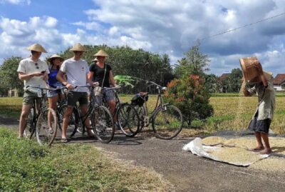 Countryside Village Cycling Tour With Guide