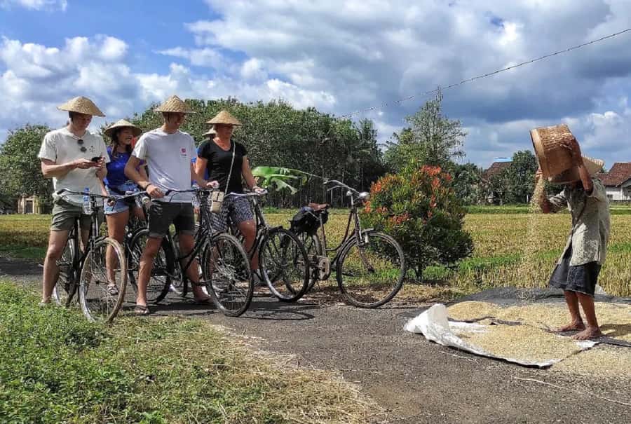Yogyakarta: Countryside Village Cycling Tour With Guide - Seeing tempeh made with soybeans and banana leaves