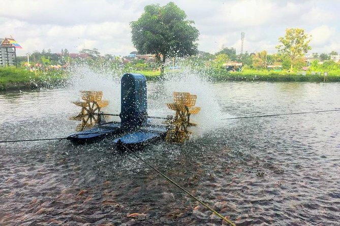 Yogyakarta Cycling Tour Around the Villages and Fish Farm - What the $23 price really covers